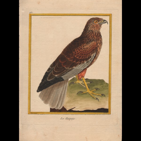 MARTINET FRANÇOIS-NICOLAS  (1731-180.)  - LA HARPAYE