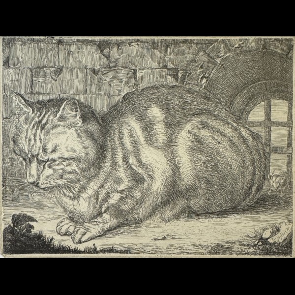 ANONYME XVIIè - LE GRAND CHAT