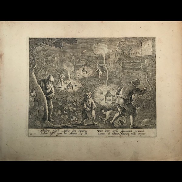 GALLE CORNELIS (1576-1650)  - MELLIFERIS INFESTI APIBUS