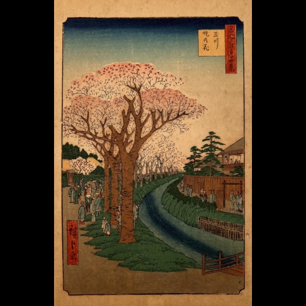 HIROSHIGE UTAGAWA ( 1797-1858 ) - TAMAGAWA TSUTSUMI NO HANA