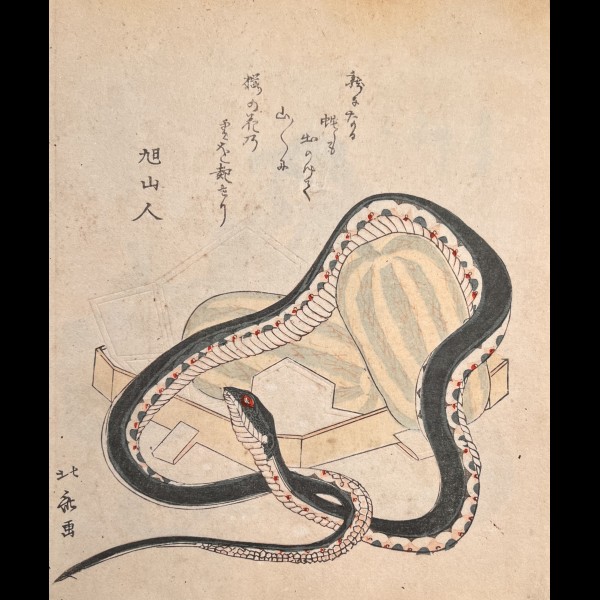 HOKKEI TOTOYA  (1780–1850) - SERPENT ET MELONS DU CHOMON-JÛ