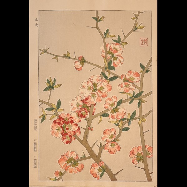 SHODO KAWARAZAKI (1889-1973)  - FEVRIER, BOKE OU COGNASSIER