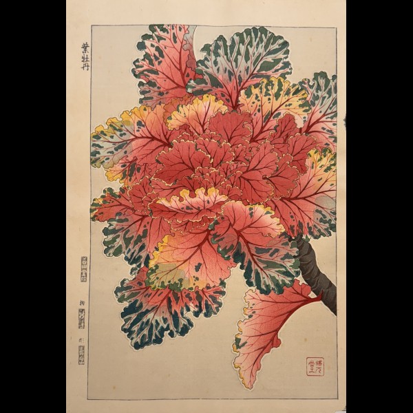 SHODO KAWARAZAKI (1889-1973)  - JANVIER : HABOTAN, CHOU ORNEMENTAL