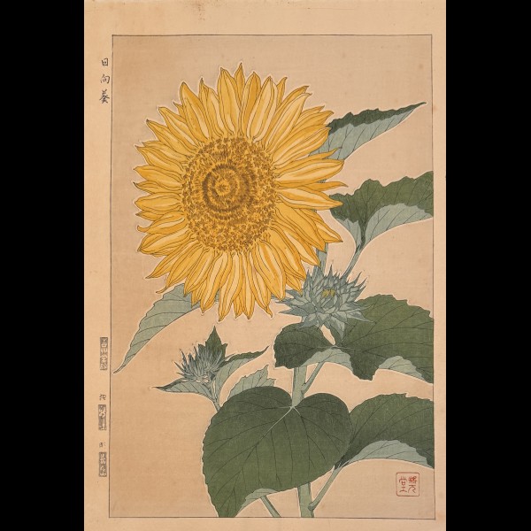 SHODO KAWARAZAKI (1889-1973)  - AOUT: HIMAWARI, TOURNESOL