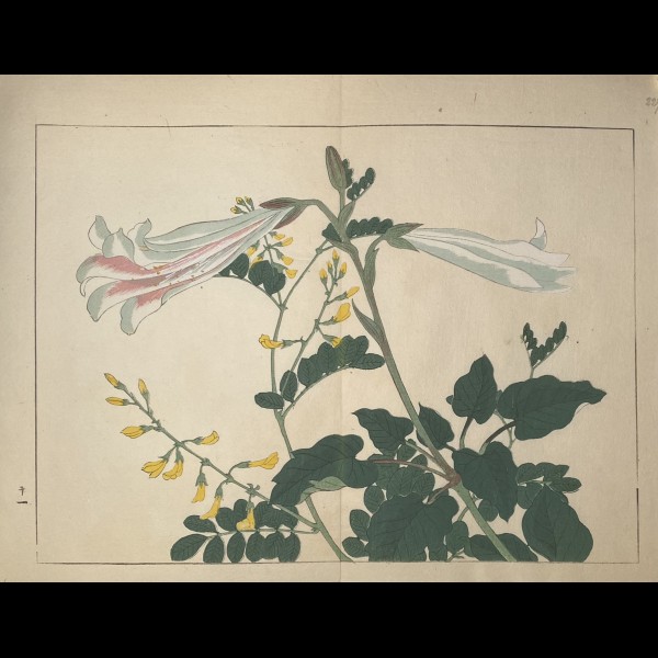 TESSAI TOMIOKA (1836-1924) - SHIKI NO HANA