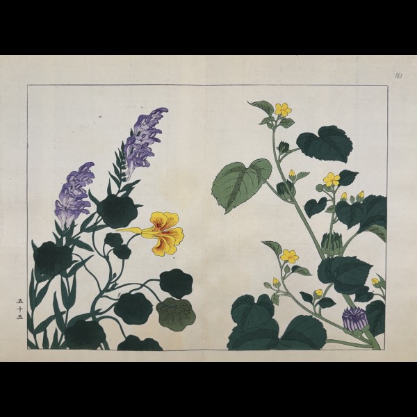 TESSAI TOMIOKA (1836-1924) - SHIKI NO HANA, ACONIT, CAPUCINE, ABUTILON