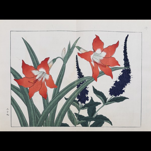 TESSAI TOMIOKA (1836-1924) - SHIKI NO HANA, AMARYLLIS, VERONIQUE