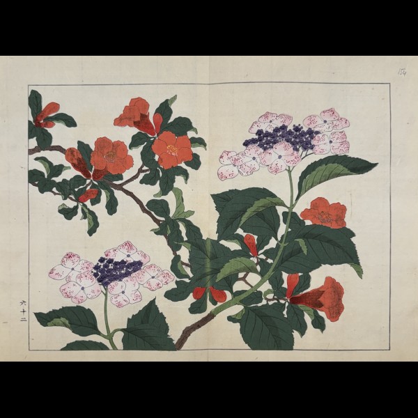 TESSAI TOMIOKA (1836-1924) - SHIKI NO HANA, COGNASSIER DU JAPON, HORTENSIA A TETE PLATE
