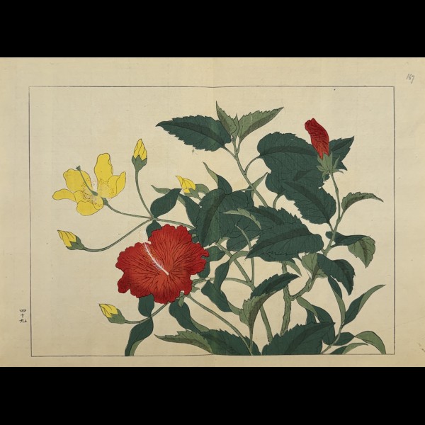 TESSAI TOMIOKA (1836-1924) - SHIKI NO HANA, HIBISCUS DE CHINE, MILLEPERTUIS ARBUSTIF