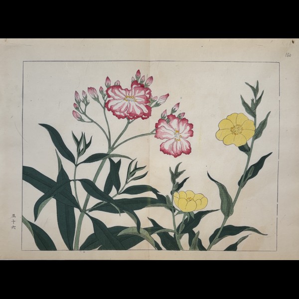 TESSAI TOMIOKA (1836-1924) - SHIKI NO HANA, LAURIER-ROSE DOUBLE ROSE, ONAGRE