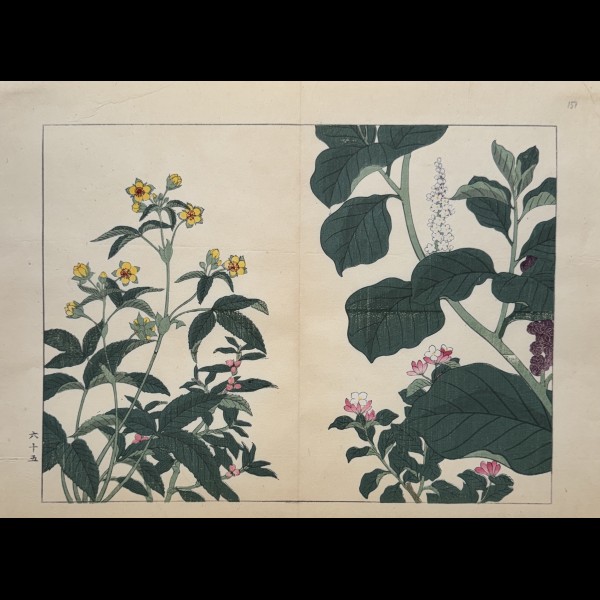 TESSAI TOMIOKA (1836-1924) - SHIKI NO HANA, LYSIMAQUE, DEUTZIA, PHYTOLAQUE D'AMERIQUE