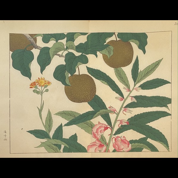 TESSAI TOMIOKA (1836-1924) - SHIKI NO HANA