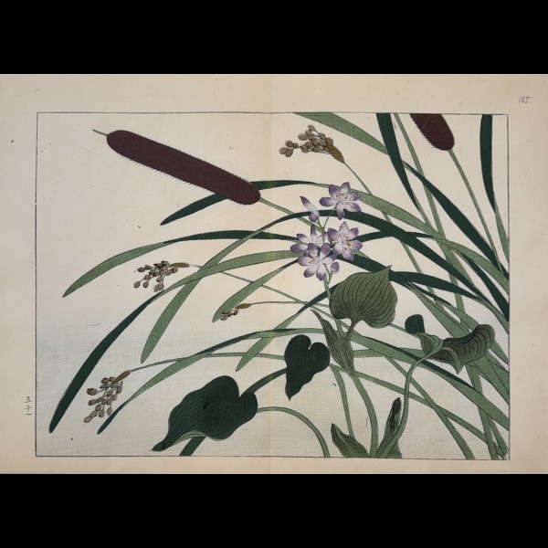 TESSAI TOMIOKA (1836-1924) - SHIKI NO HANA, TYPHA, MURDANNIA KEISAK, SAGITTARIA TRIFOLIA TESSAI TOMIOKA (1836-1924) - SHIKI NO HANA, TYPHA, MURDANNIA KEISAK, SAGITTARIA TRIFOLIA
