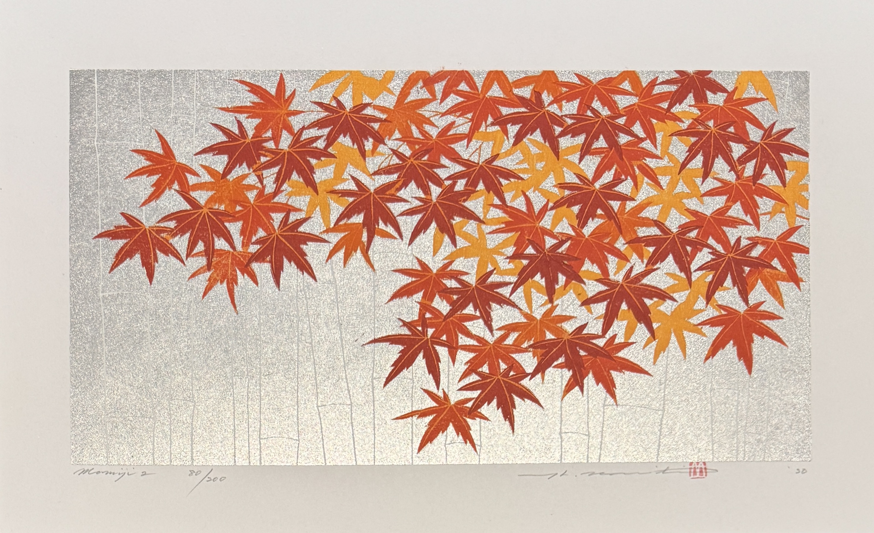 MOMIJI, MAPLE AUTUMN FOLIAGE MOMIJI, MAPLE AUTUMN FOLIAGE