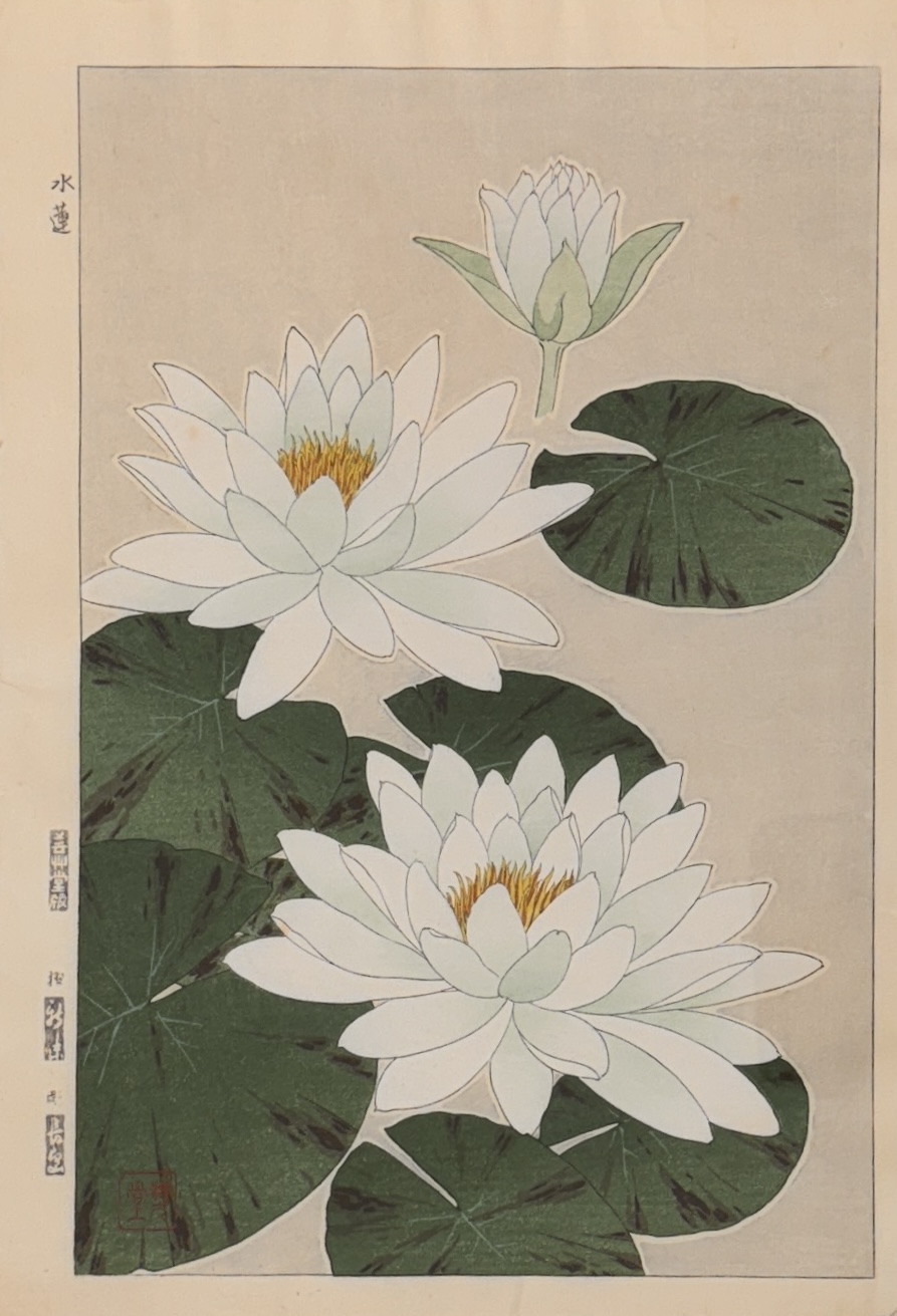 JUILLET : LOTUS, SUIREN JUILLET : LOTUS, SUIREN